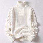 Travis Moderner Rollkragenpullover -Pullover