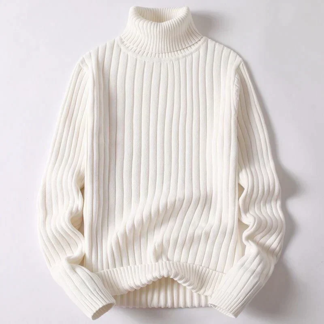 Travis Moderner Rollkragenpullover -Pullover