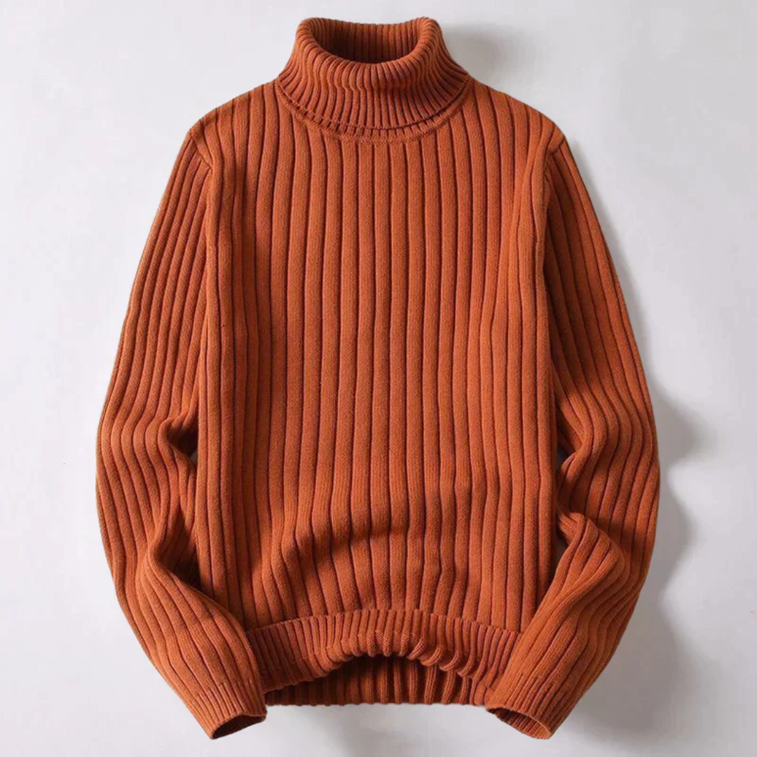 Travis Moderner Rollkragenpullover -Pullover