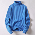 Travis Moderner Rollkragenpullover -Pullover