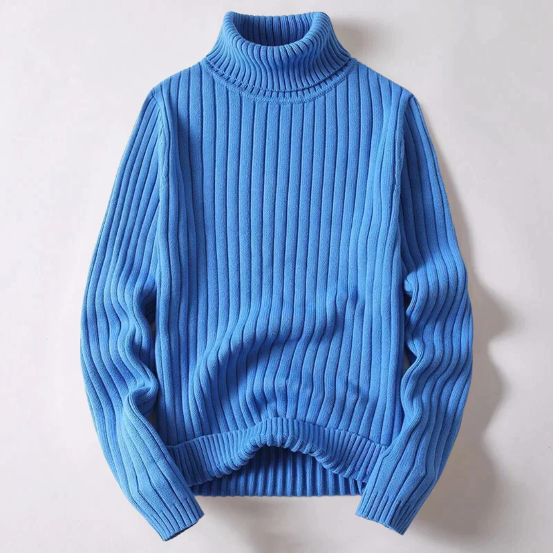 Travis Moderner Rollkragenpullover -Pullover