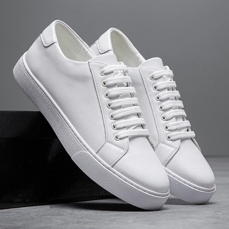 Westbridge Leder Low-Tops