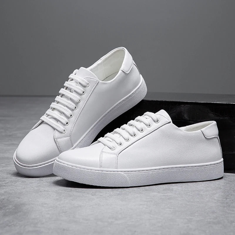Westbridge Leder Low-Tops